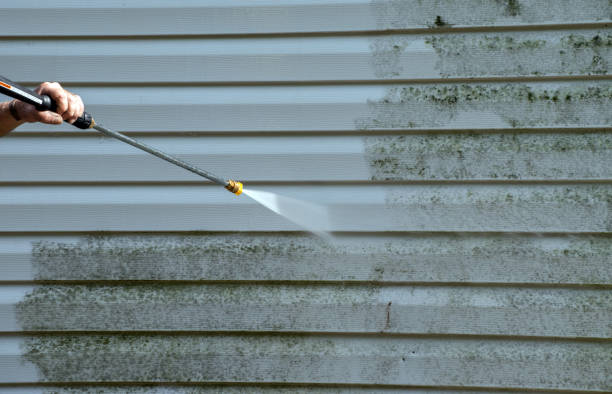 Attic Mold Removal in Elk Plain, WA